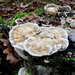 P1010546