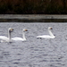 P1010551
