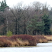 P1010558