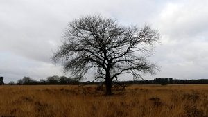 P1010567