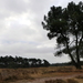 P1010568