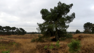 P1010572