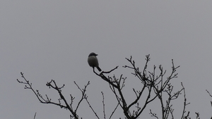 P1010581