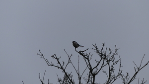 P1010585