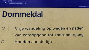 P1010665