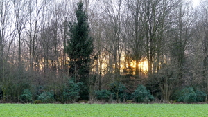 P1010676