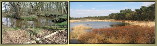 2016-12-11 Daguitstap Vlasroot