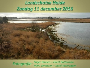 2016-12-11 LANDSCHOTSE HEIDE