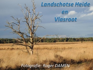 2016-12-11 LANDSCHOTSE HEIDE-VLASROOT