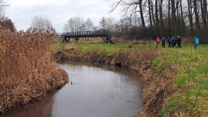 Dommel 01 RD