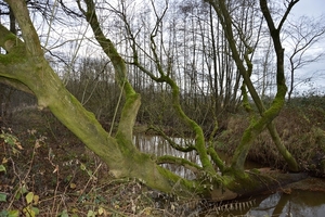 Dommel 02 GB