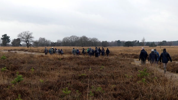 Landschotse Heide 01