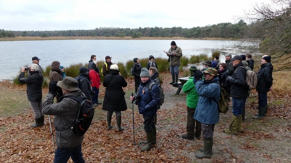 Landschotse Heide 02