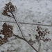DSC07959
