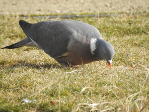 DSCN1751