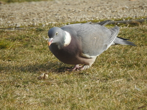DSCN1775