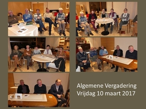 Alg verg