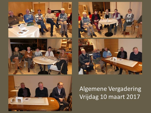 Alg verg