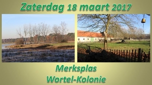 2017-03-18 MERKSPLAS - WORTEL KOLONIE