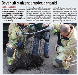 2017-03-22 Het Nieuwsblad