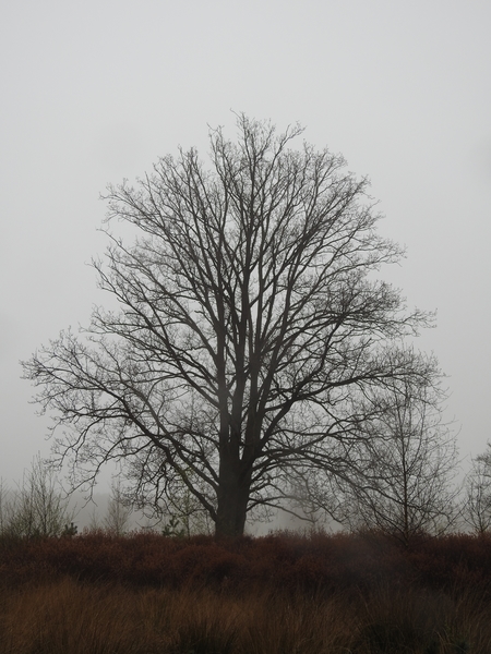 DSCN2584
