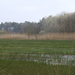DSCN2647