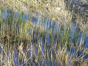 DSCN2827