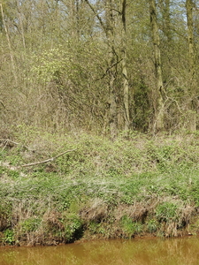 DSCN2830