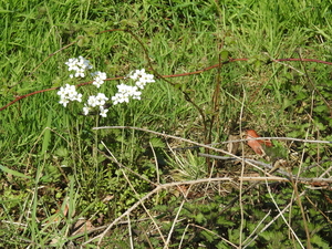 DSCN2834