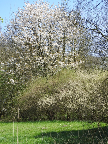 DSCN2841