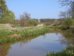 DSCN2845