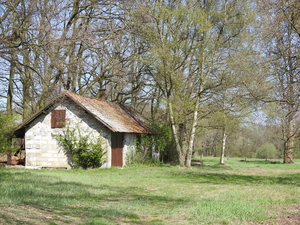 DSCN2847