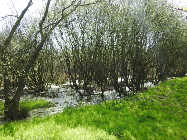DSCN2848