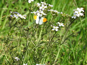 DSCN2850