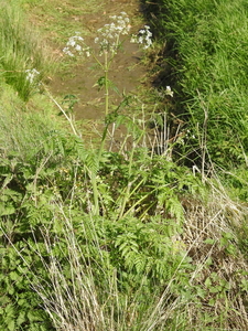 DSCN2866