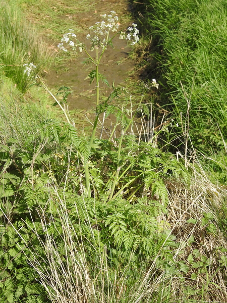 DSCN2866