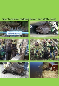 Cover Buntblad