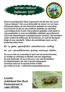 flyer2 cursus