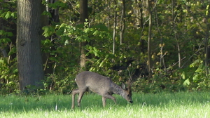 P1020802