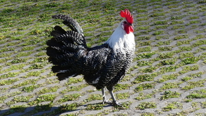 P1020818