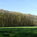 P1020820