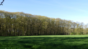 P1020820