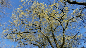 P1020822
