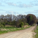 P1020828