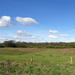 P1020829
