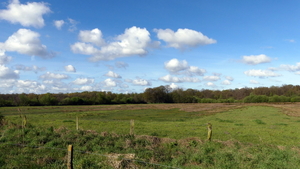 P1020830