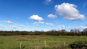 P1020832