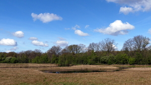 P1020836