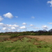 P1020837