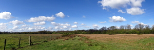 P1020837